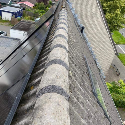 Nokvorsten Heeswijk Dinther hersteld Nokvorsten zijn opnieuw vastgezet